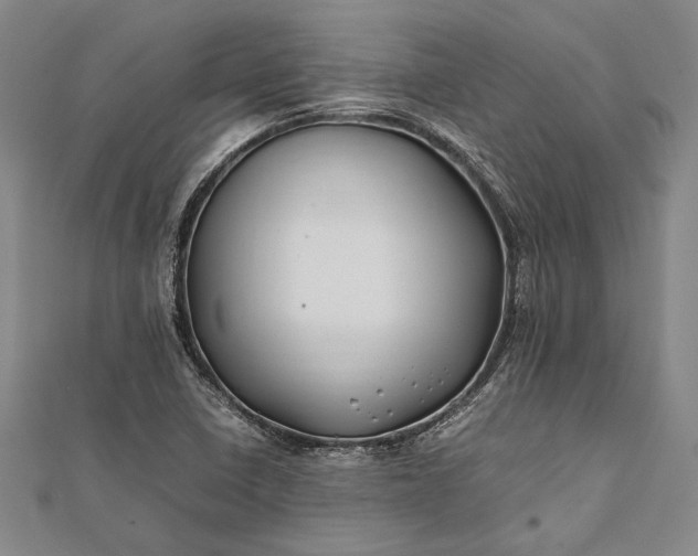 X0000112371410200908271308