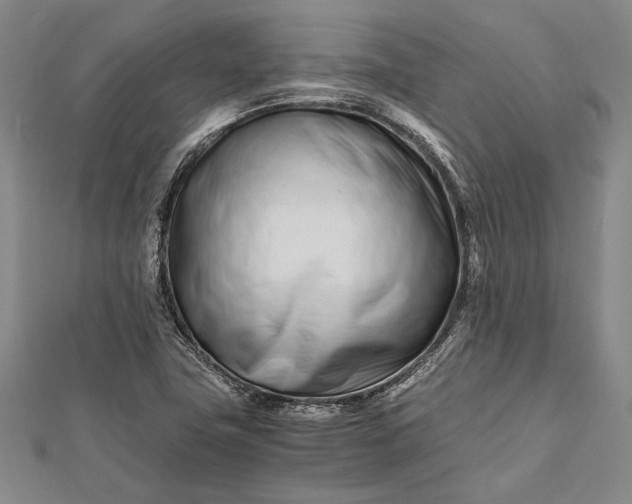 X0000112371411200908271308