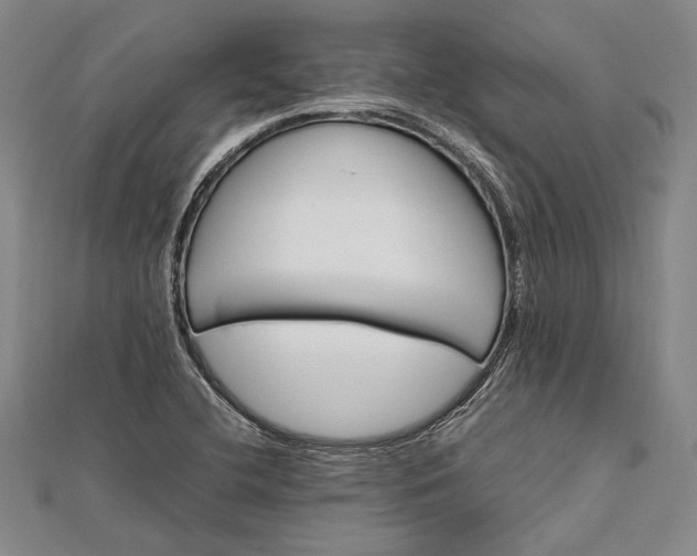 X0000112371412200908271308