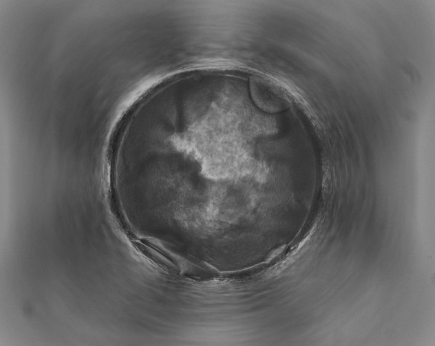 X0000112371414200908271308