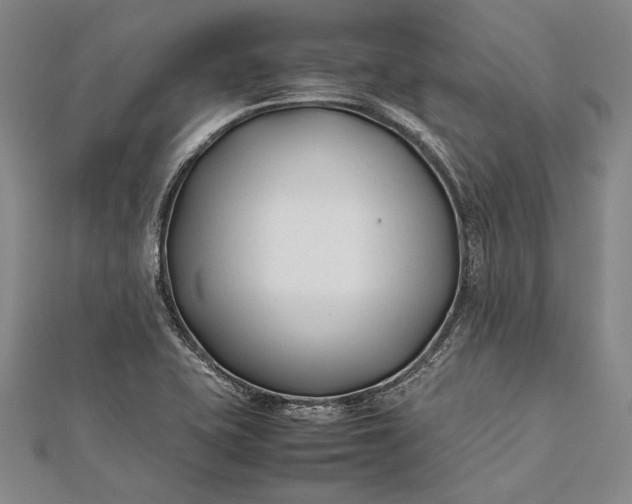 X0000112371415200908271308