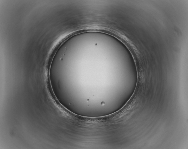 X0000112371416200908271308