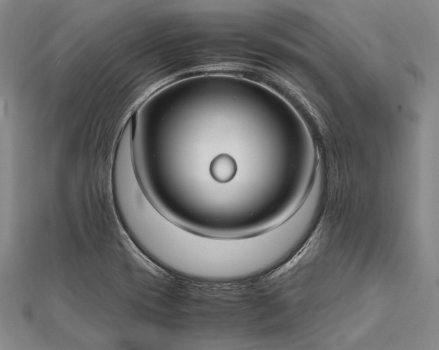 X0000112371417200908271308