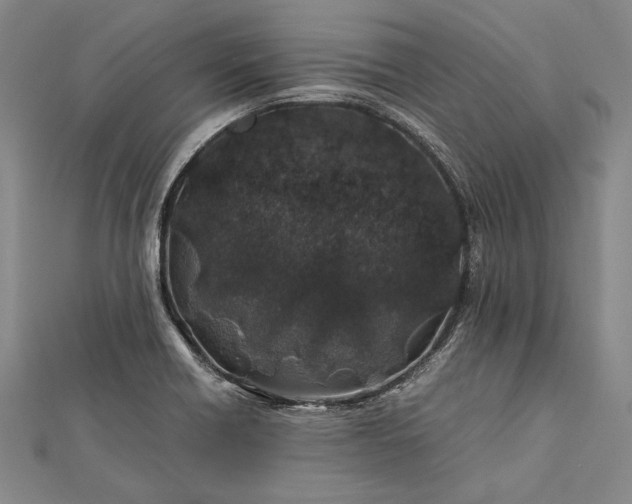 X0000112371418200908271308