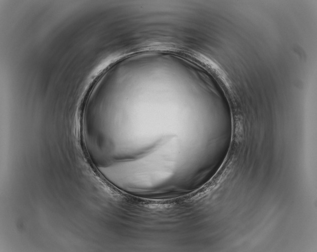 X0000112371419200908271308