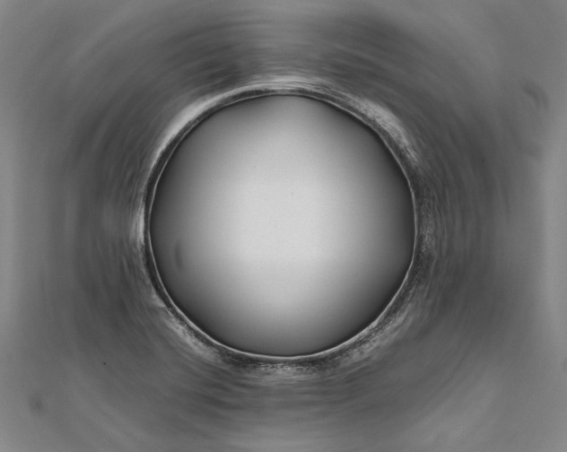 X0000112371420200908271308