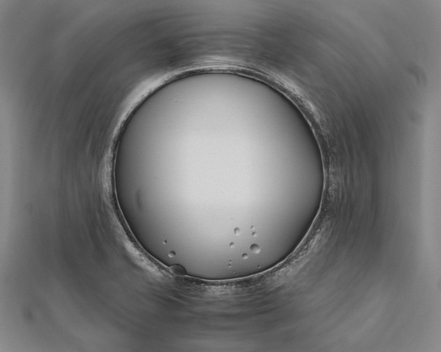 X0000112371421200908271308