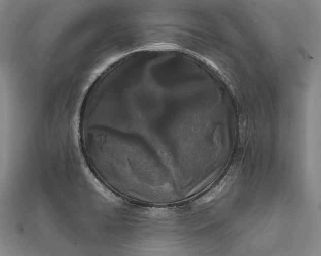 X0000112371422200908271308