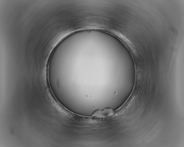 X0000112371423200908271308