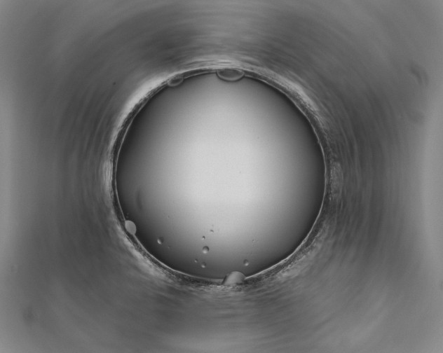 X0000112371424200908271308