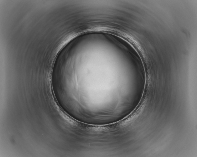 X0000112371425200908271308