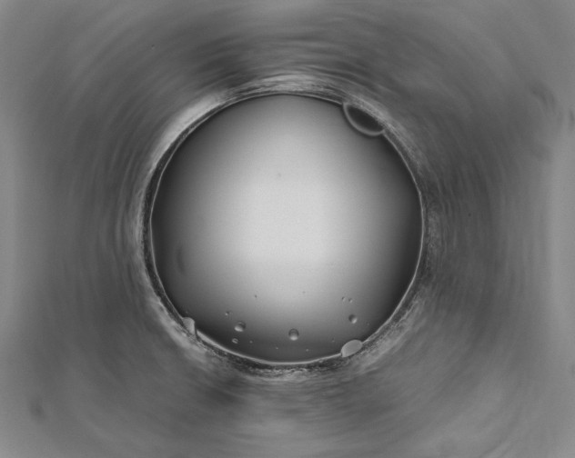 X0000112371426200908271308