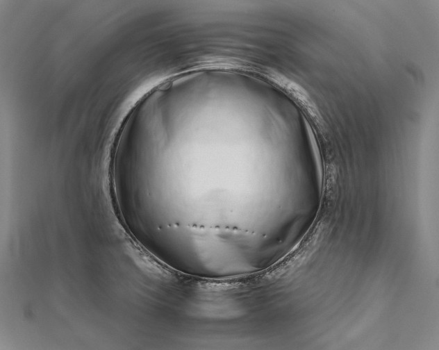 X0000112371427200908271308