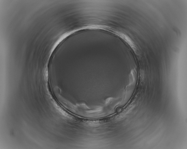 X0000112371428200908271308