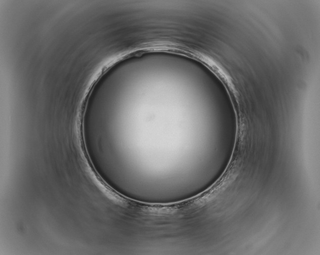 X0000112371429200908271308