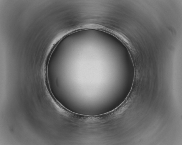 X0000112371430200908271308