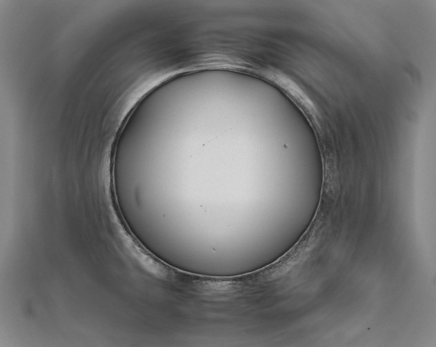 X0000112371431200908271308