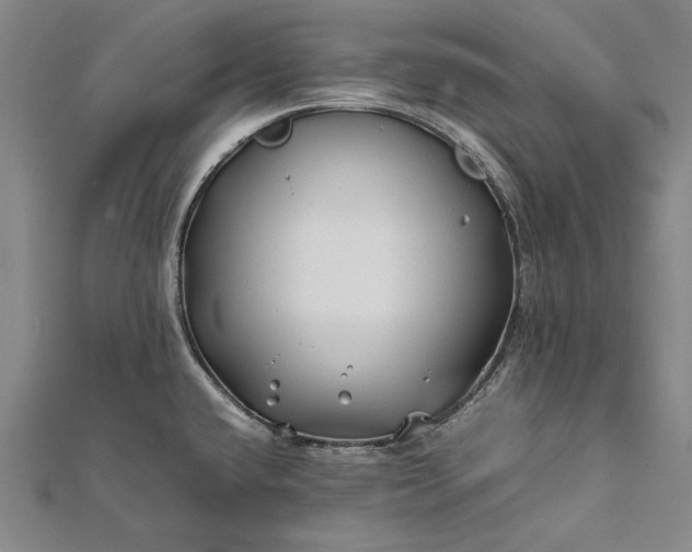 X0000112371432200908271308