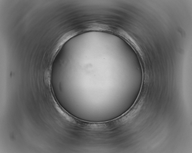 X0000112371433200908271308