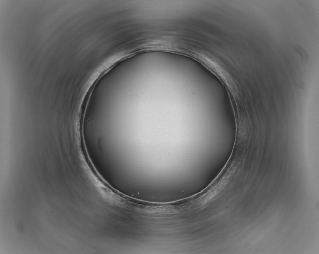 X0000112371434200908271308