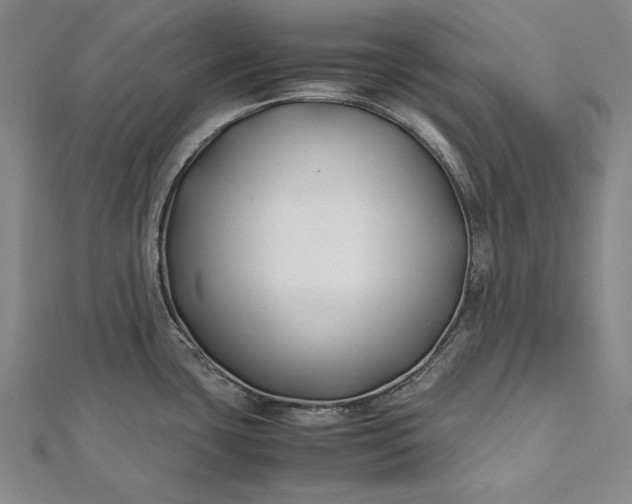 X0000112371435200908271308