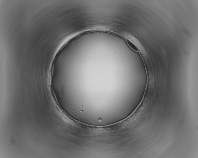 X0000112371436200908271308