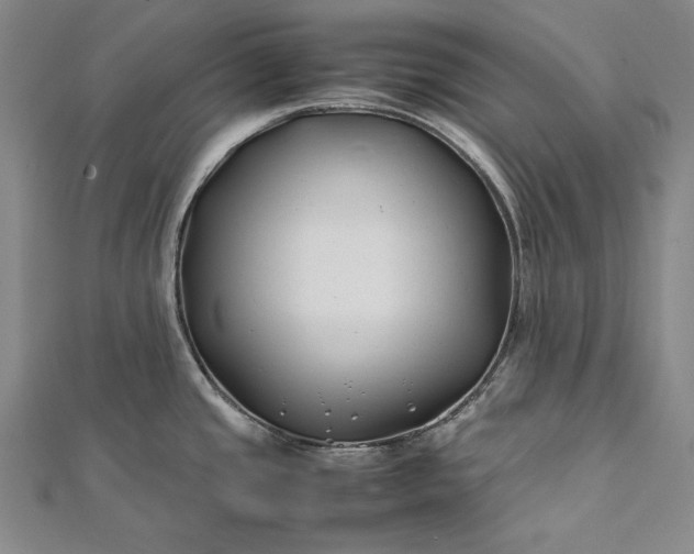 X0000112371437200908271308