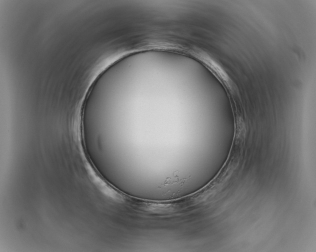 X0000112371439200908271308