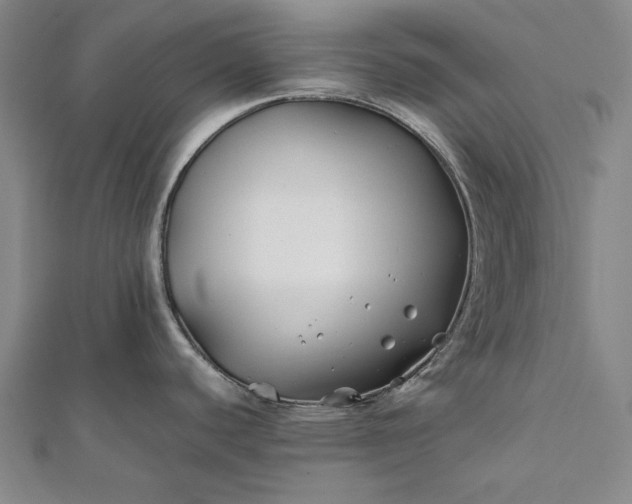 X0000112371440200908271308