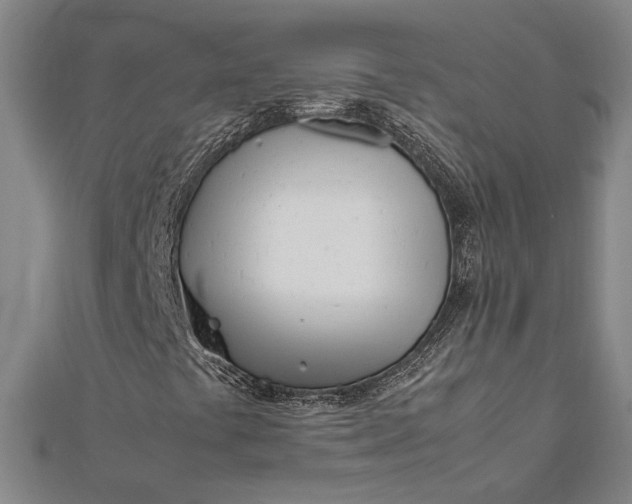 X0000112371441200908271308