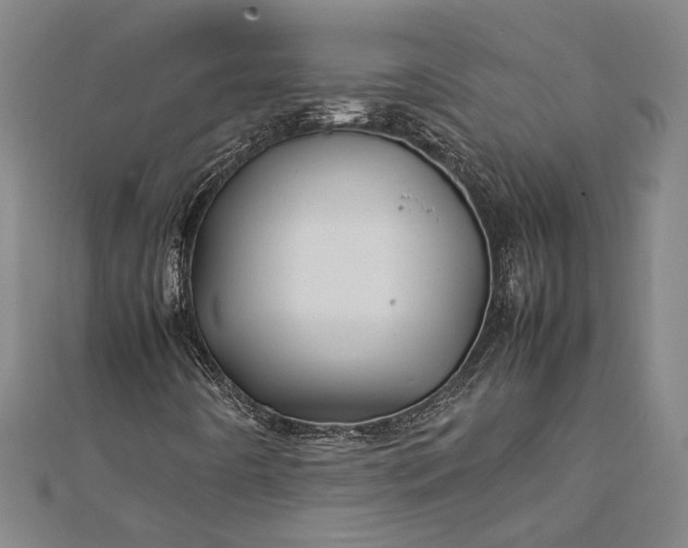 X0000112371442200908271308