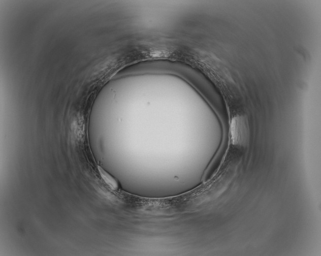 X0000112371443200908271308