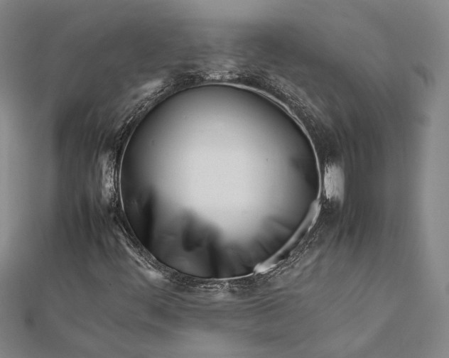 X0000112371444200908271308