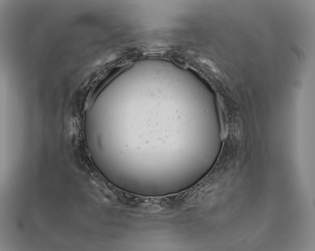 X0000112371445200908271308