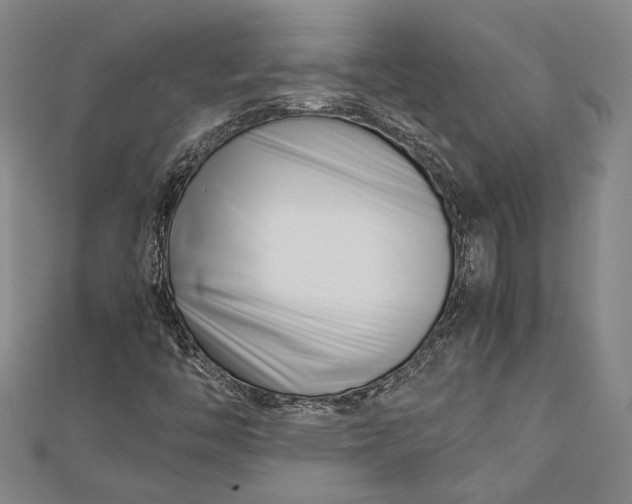 X0000112371446200908271308