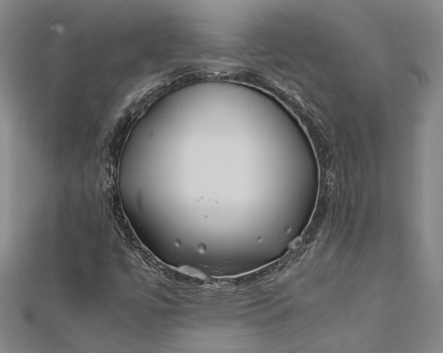 X0000112371447200908271308