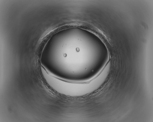 X0000112371448200908271308