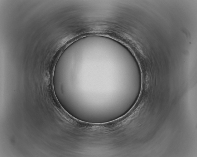 X0000112371449200908271308