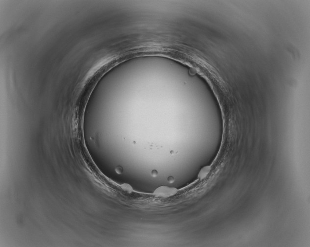 X0000112371450200908271308