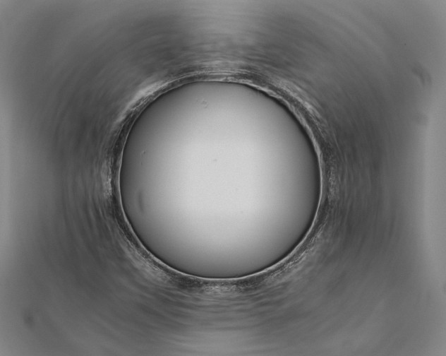 X0000112371451200908271308