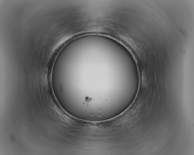 X0000112371452200908271308