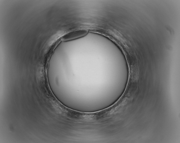 X0000112371453200908271308