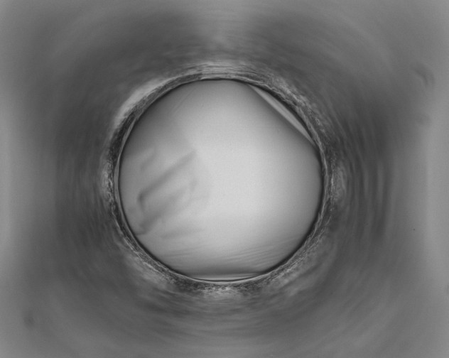 X0000112371454200908271308