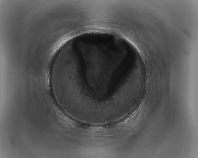 X0000112371455200908271308