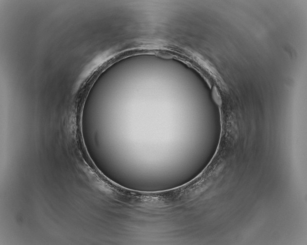 X0000112371456200908271308