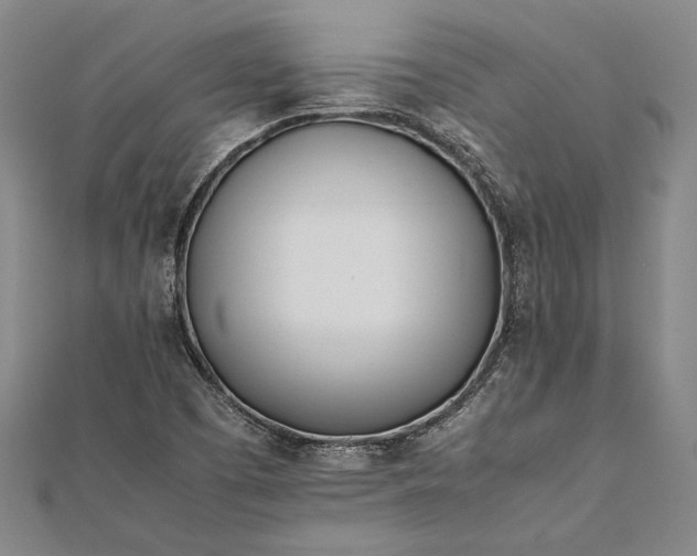 X0000112371457200908271308