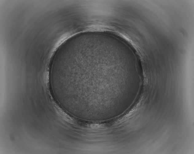 X0000112371459200908271308