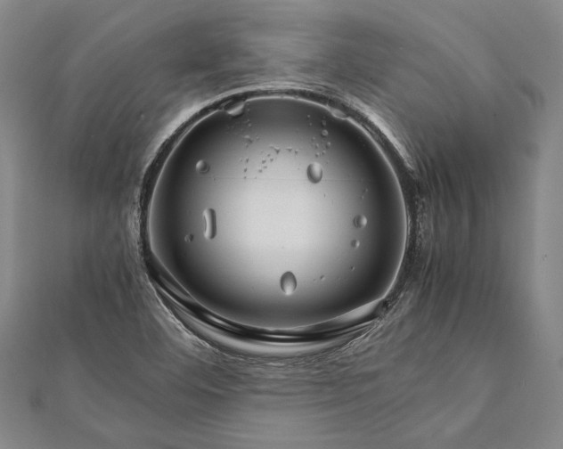 X0000112371460200908271308