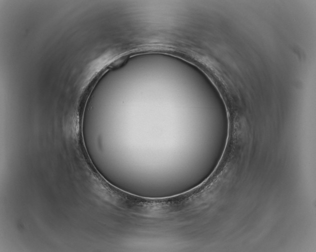 X0000112371461200908271308