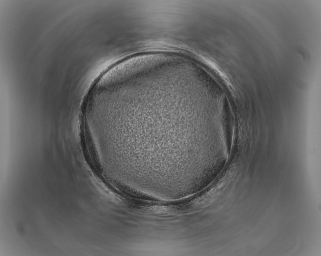 X0000112371463200908271308